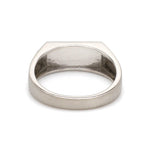 Load image into Gallery viewer, Men of Platinum | 7.5mm Platinum Ring for Men JL PT 1493
