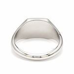 Load image into Gallery viewer, Men of Platinum | 9.25mm Platinum Ring for Men JL PT 1504
