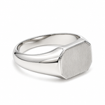 Load image into Gallery viewer, Men of Platinum | 9.25mm Platinum Ring for Men JL PT 1504

