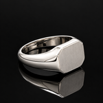 Load image into Gallery viewer, Men of Platinum | 9.25mm Platinum Ring for Men JL PT 1504

