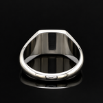 Load image into Gallery viewer, Men of Platinum | 9.25mm Platinum Ring for Men JL PT 1504
