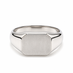 Load image into Gallery viewer, Men of Platinum | 9.25mm Platinum Ring for Men JL PT 1504
