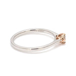 Load image into Gallery viewer, 23-Pointer Platinum Rose Gold Ring for Women JL PT 1146

