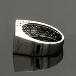 Load image into Gallery viewer, Men of Platinum | Platinum Ring for Men JL PT 1318

