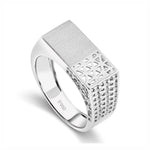 Load image into Gallery viewer, Men of Platinum | Platinum Ring for Men JL PT 1318
