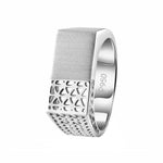Load image into Gallery viewer, Men of Platinum | Platinum Ring for Men JL PT 1318
