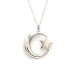 Load image into Gallery viewer, Customised Platinum Star Moon Pendant JL PT P 307   Jewelove.US
