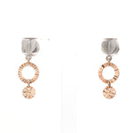 Load image into Gallery viewer, Designer Plain Platinum &amp; Rose Gold Earrings JL PT E 213   Jewelove™
